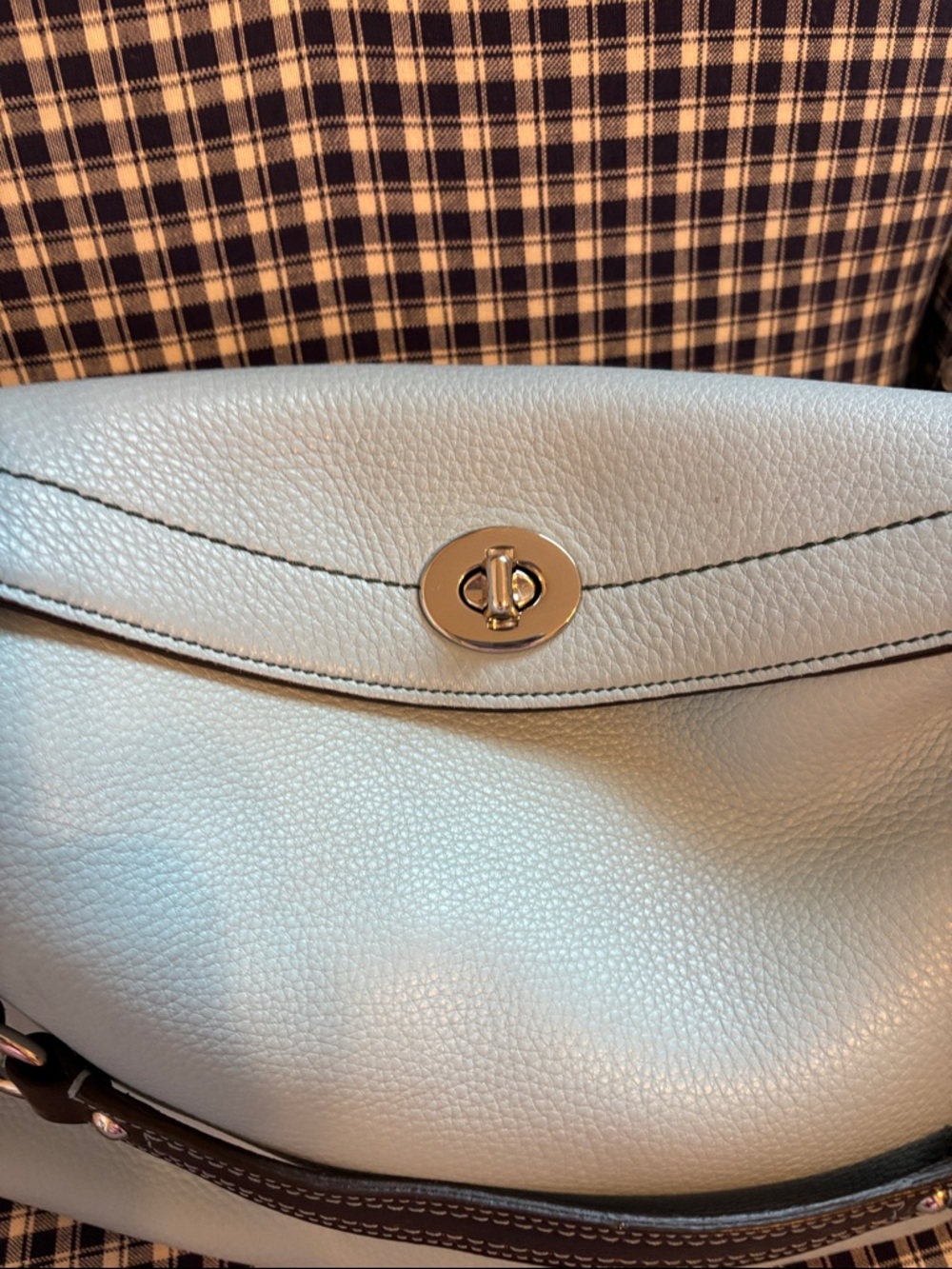 Coach Pebbled Leather Shoulder Bag in robin’s egg Blue with Dark Brown Trim - Picture 4 of 13